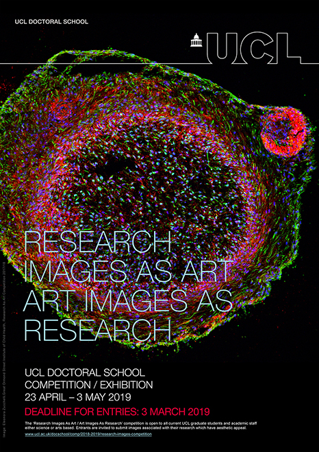 Research Images Competition 2018/19