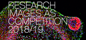 Research Images Competition 2018/19